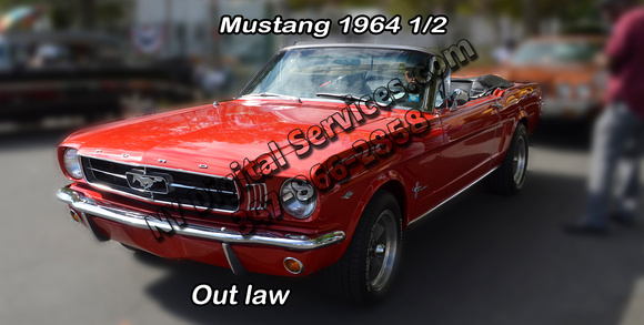 lisc-plates-mustang